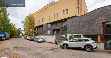 Коммерческое помещение 350 м² в Вильнюс, Литва