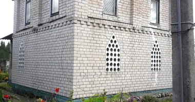 House in Skoki, Belarus