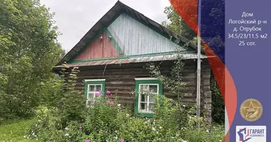Haus in Pliescanicki sielski Saviet, Belarus
