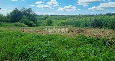 Plot of land in Dalnekonstantinovsky District, Russia