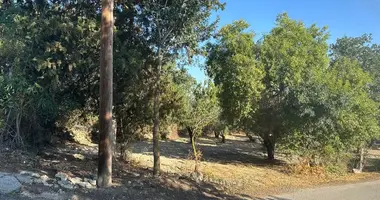 Квартира в Полеми, Кипр