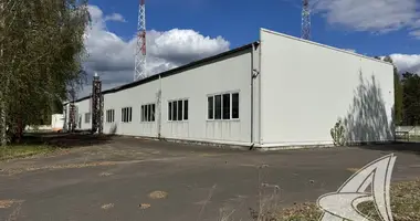 Produktion 909 m² in Tamasouka, Belarus
