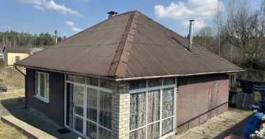 Dom w Piatryskauski sielski Saviet, Białoruś