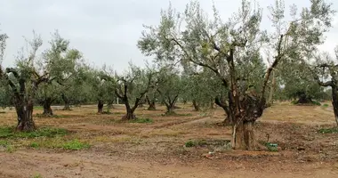 Parcela en Gerakini, Grecia