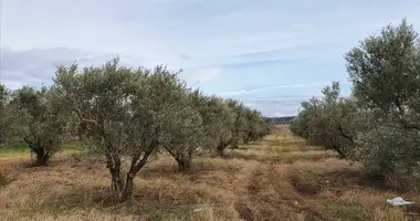 Działka w Paralia Dionisiou, Grecja