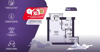 Квартира 1 комната в Слуцк, Беларусь