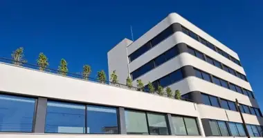 Gewerbefläche 310 m² in Limassol, Zypern