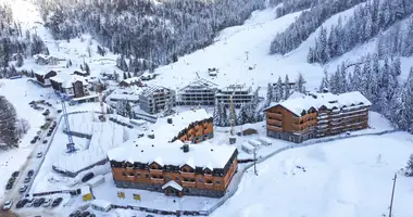 Wohnung 1 zimmer in Montenegro