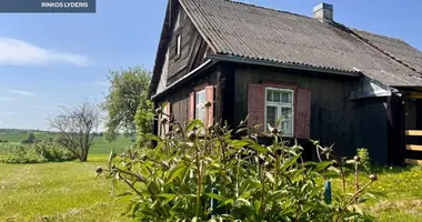 House in Kaisiadorys, Lithuania