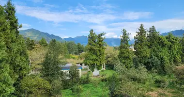 House in Chakvi, Georgia