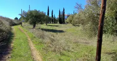 Terrain dans Nikiti, Grèce