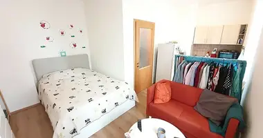1 bedroom apartment in Capital City of Prague, Czech Republic