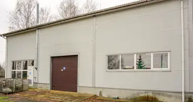 Gewerbefläche 1 990 m² in Ferma, Litauen