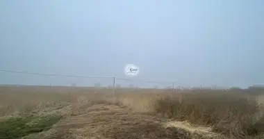 Grundstück in Rajon Polessk, Russland