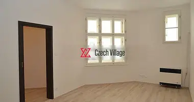 1 bedroom apartment in Capital City of Prague, Czech Republic
