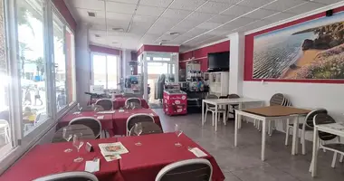 Propriété commerciale dans Torrevieja, Espagne