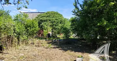 Plot of land in Muchaviecki sielski Saviet, Belarus