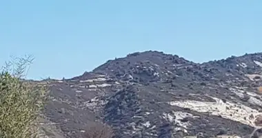 Mieszkanie w Omodos, Cypr