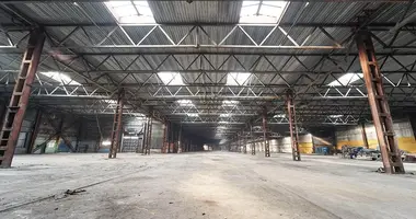 Warehouse 290 m² in Radaskovicki sielski Saviet, Belarus