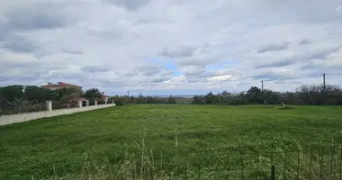 Terrain dans Pigi, Grèce