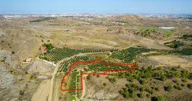 1 room apartment in Analiontas, Cyprus