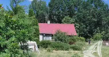 House in Lieninski sielski Saviet, Belarus