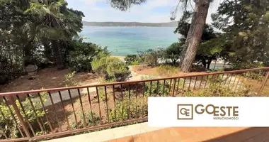 Maison 3 chambres dans Opcina Dezanovac, Croatie