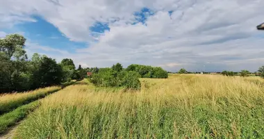 Terrain dans Cracovie, Pologne