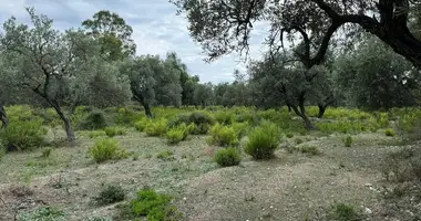 Plot of land in Lukove, Albania