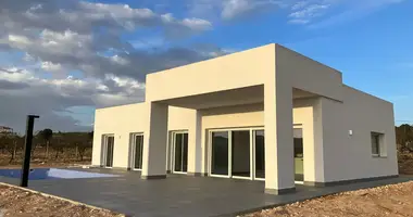 Villa 3 bedrooms in el Pinos Pinoso, Spain