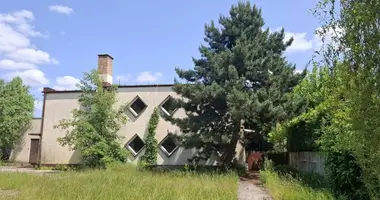 Boutique 526 m² dans Mosina, Pologne