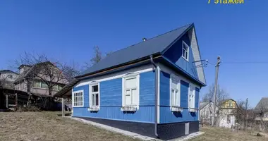 Dom w Piatryskauski sielski Saviet, Białoruś