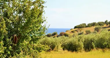 Terrain dans Nea Skioni, Grèce