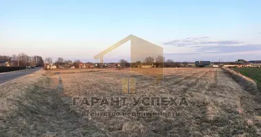 Działka w Żabinka, Białoruś