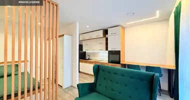 1 room apartment in Vilnius, Lithuania