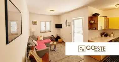 Apartamento 1 habitación en Opcina Dezanovac, Croacia