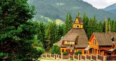 Другое 1 200 м² в Верхний Ясенов, Украина