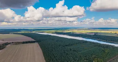 Участок земли в Potrzanowo, Польша