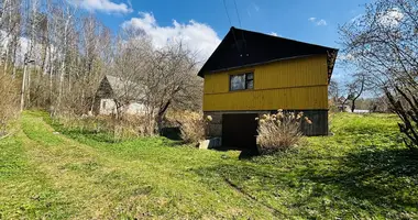 Dom w Krasnienski sielski Saviet, Białoruś