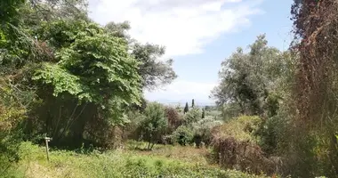 Участок земли в Ано Коракиана, Греция