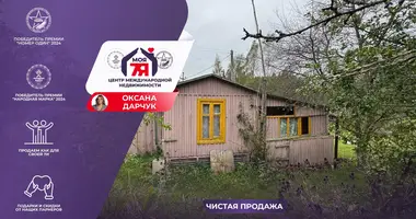 House in Aliachnovicki sielski Saviet, Belarus