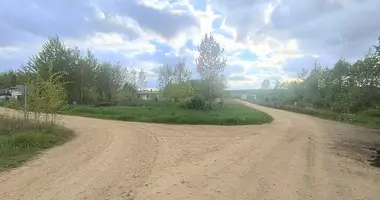 Plot of land in Salaspils, Latvia