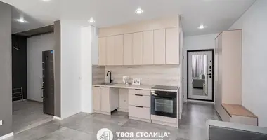 3 bedroom apartment in Minsk, Belarus