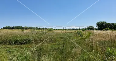 Grundstück in Opcina Liznjan, Kroatien