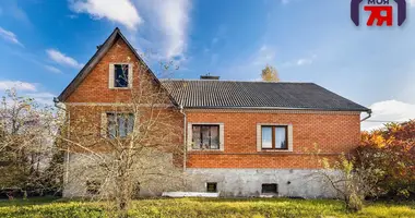 House in Korolev Stan, Belarus