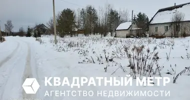 Plot of land in Usyazh, Belarus