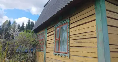 House in Dziescanski sielski Saviet, Belarus