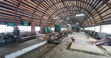 Commercial property 569 m² in Zialiony Bor, Belarus