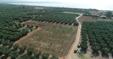 Terrain dans Municipality of Nea Propontida, Grèce