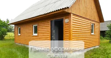 House in Tamasouski sielski Saviet, Belarus